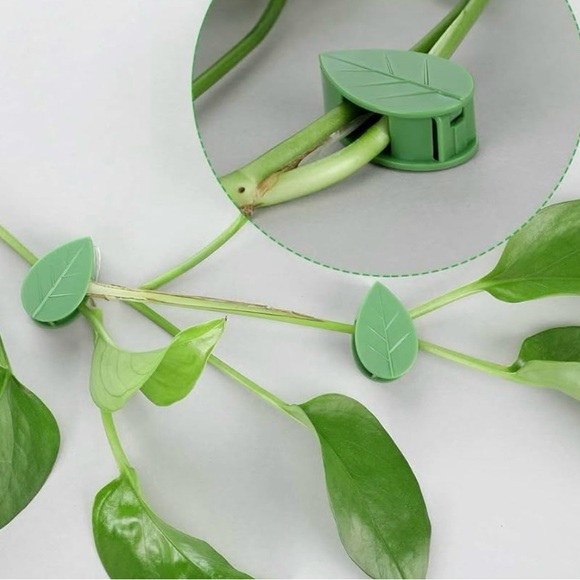 10 pc Leaf shaped sticky clips to hold your climbing plants in style - Picture 2 of 15